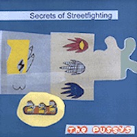 Secrets of Street Fighting